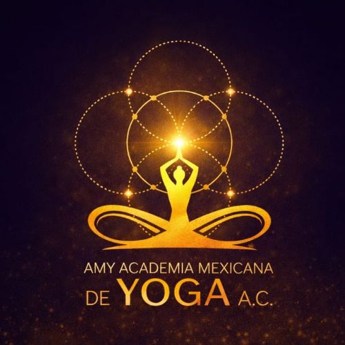 AMY Logo